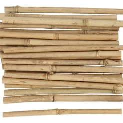 Bambupinnar, L: 20 cm, tjocklek 8-15 mm, 30 st./ 1 förp.