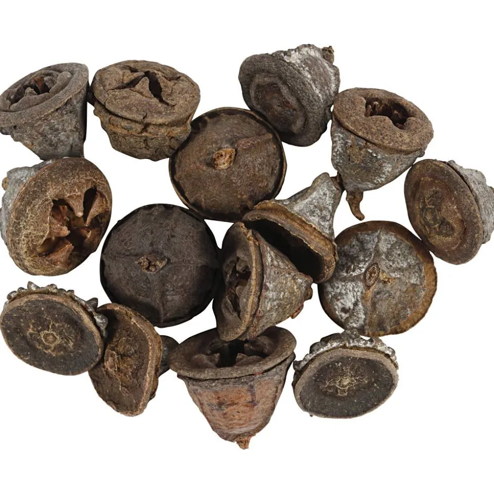 Eukalyptuskottar, 25 g/ 1 förp.