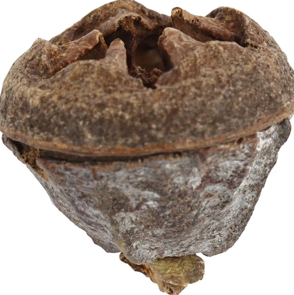 Eukalyptuskottar, 25 g/ 1 förp.