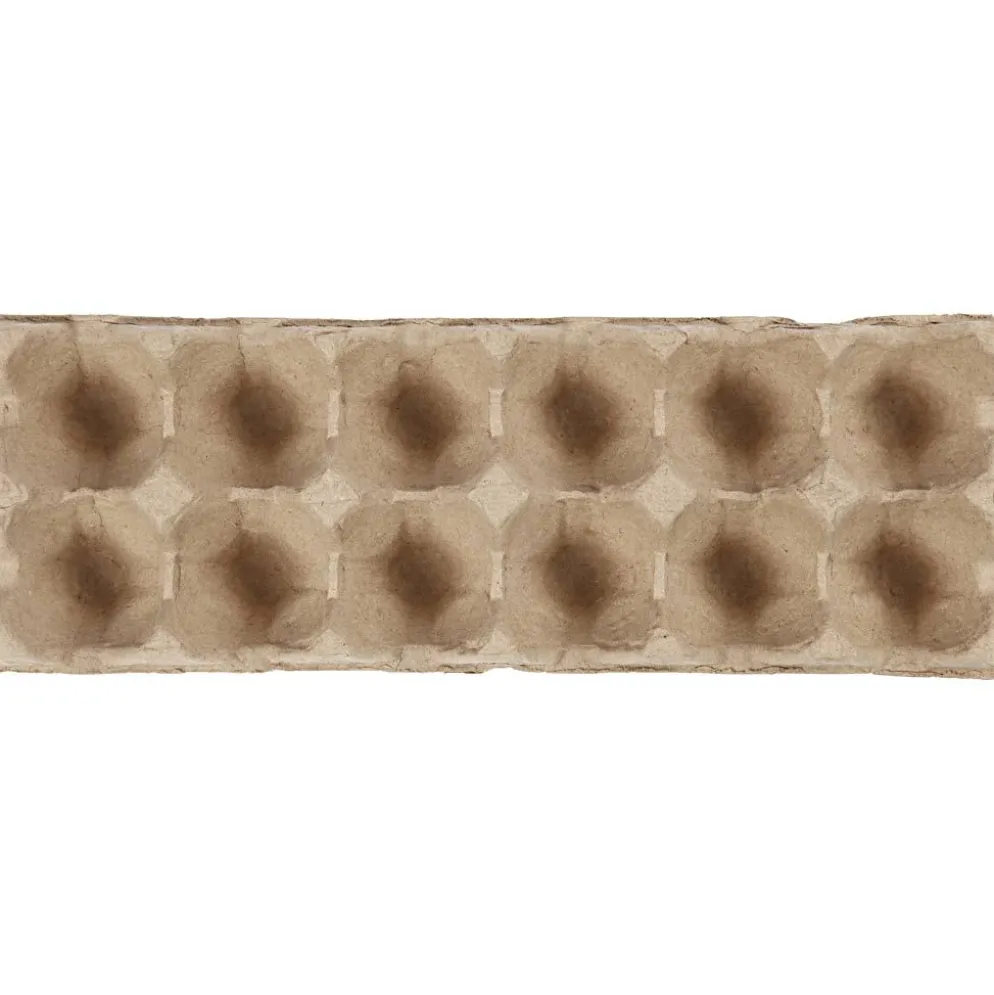 Äggkartong, H: 5 cm, L: 30,5 cm, B: 11 cm, 3 st./ 1 förp.