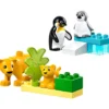 LEGO® DUPLO® Wild Animal Families pingviner och lejon, 10 delar/ 1 förp.