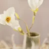 Mini DIY Kit Kräppapper, Magnoliakvist, Stretchbarhet: 180%, 1 förp.
