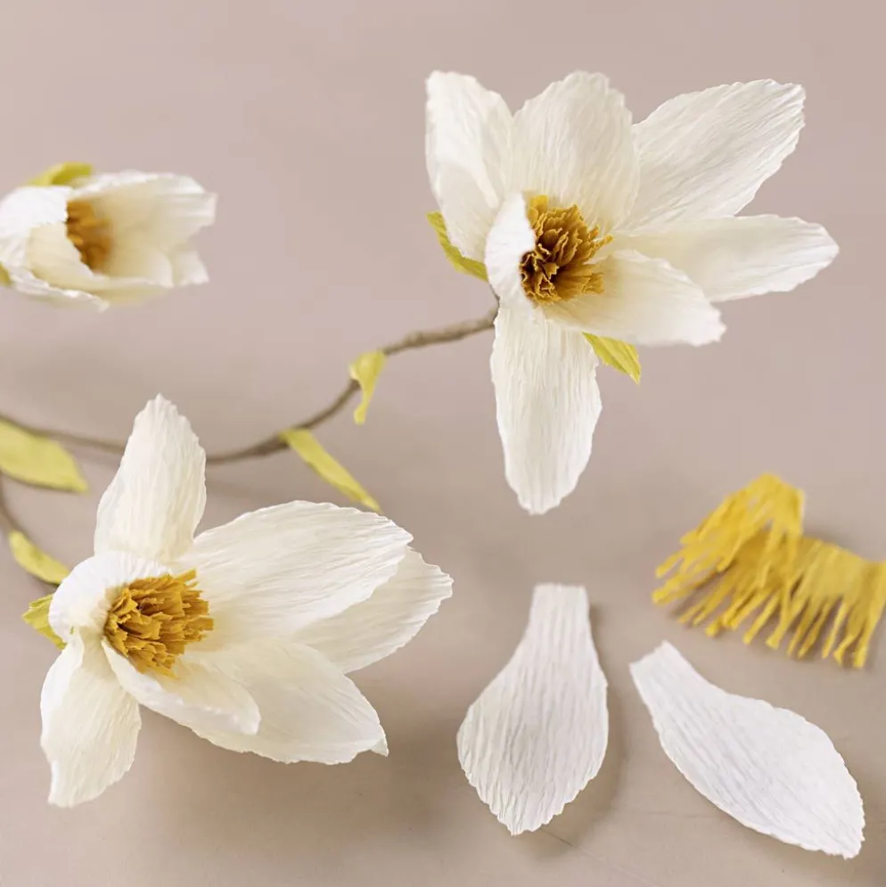 Mini DIY Kit Kräppapper, Magnoliakvist, Stretchbarhet: 180%, 1 förp.