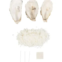 Mini DIY Kit Ljustillverkning, Sojaljus i ostronskal, off white, 1 förp.