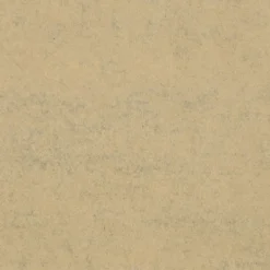 Presentpapper, B: 50 cm, 60 g, svart, 100 m/ 1 rl.