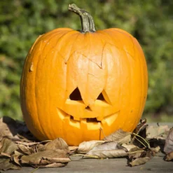 Pumpa Skärset, 1 set