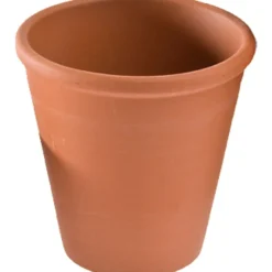 Rosenkruka, H: 12 cm, Dia. 10 cm, 8 st./ 1 förp.