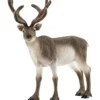 Schleich Nordiskt djurliv, Ren, stl. 12x12,5x6 cm, 1 st.