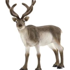 Schleich Nordiskt djurliv, Ren, stl. 12x12,5x6 cm, 1 st.