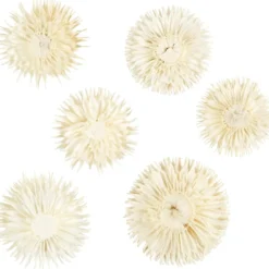 Torkade Blommor, Dia. 3-5 cm, 6 st./ 1 förp.