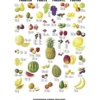Undervisningsaffisch, Frukt, stl. 70x100 cm, 1 st.